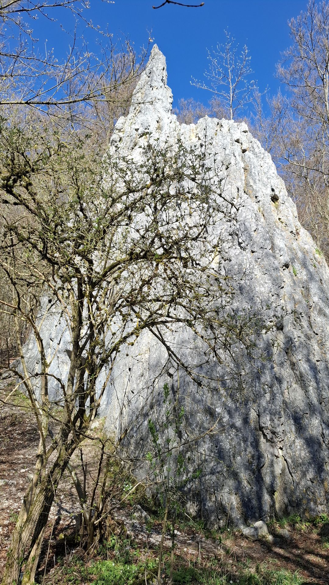 Frische Luft statt Hallenmuff